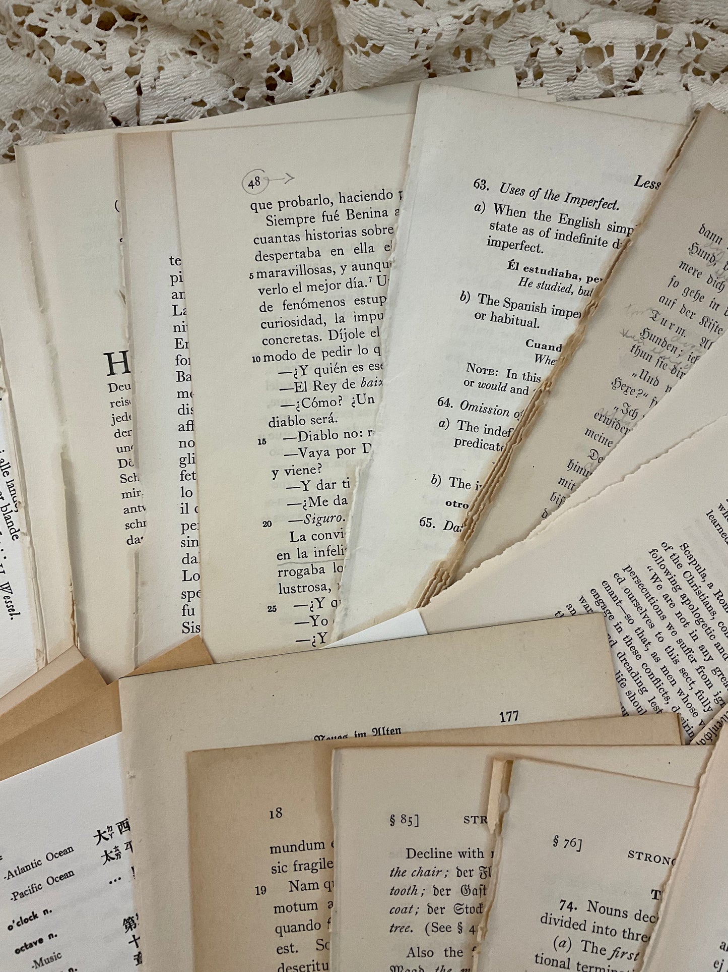 Foreign language book pages