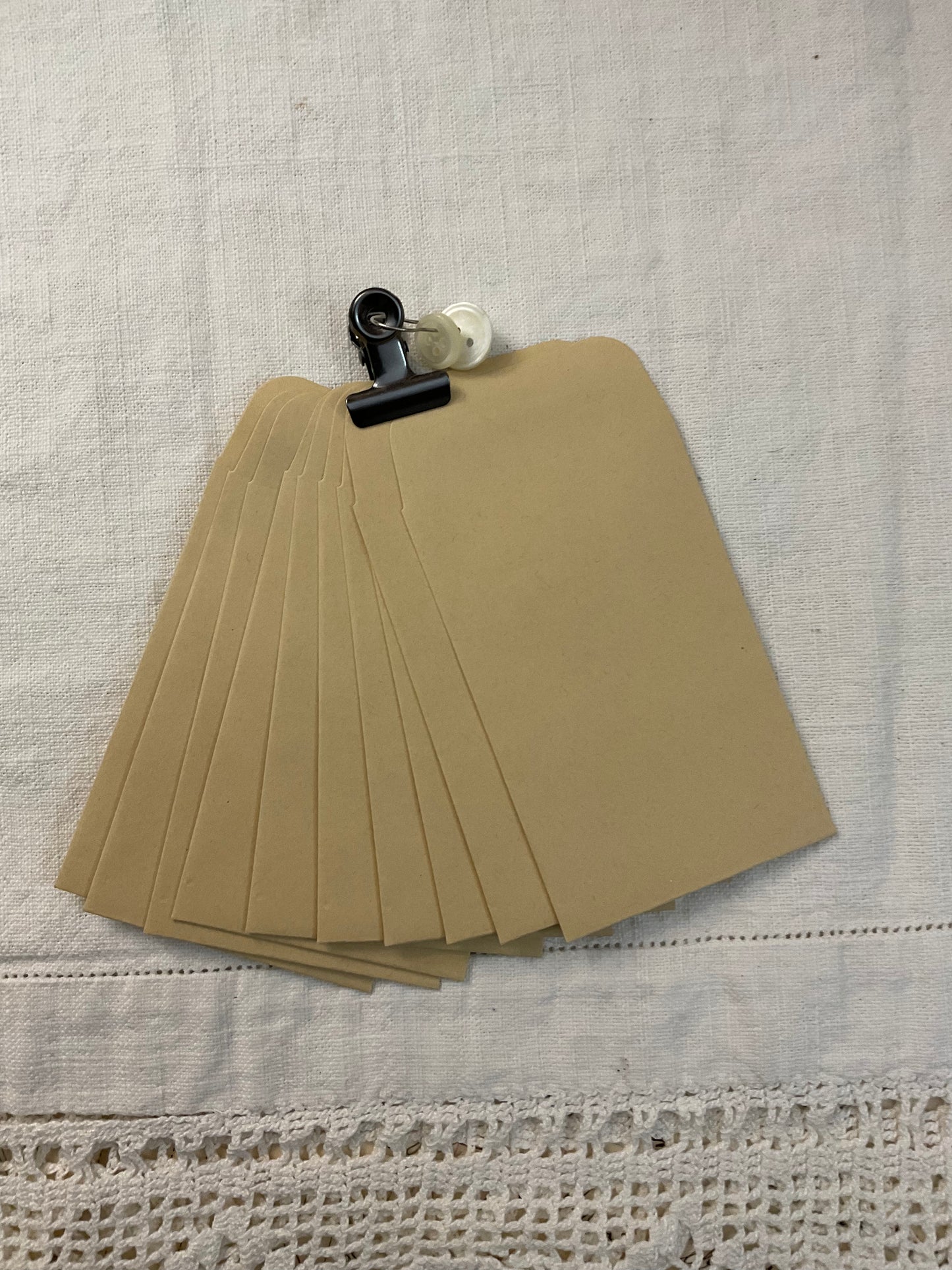 Seed Envelopes (10)