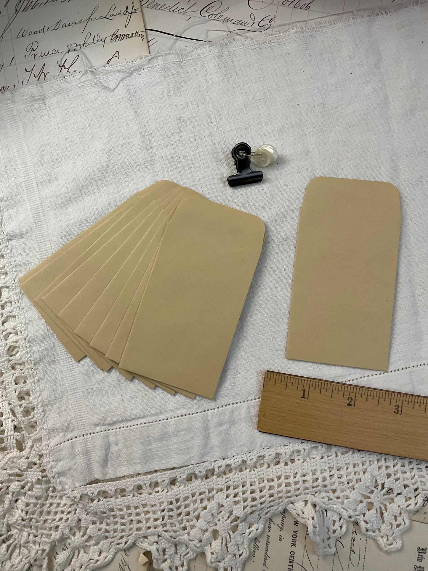 Seed Envelopes (10)