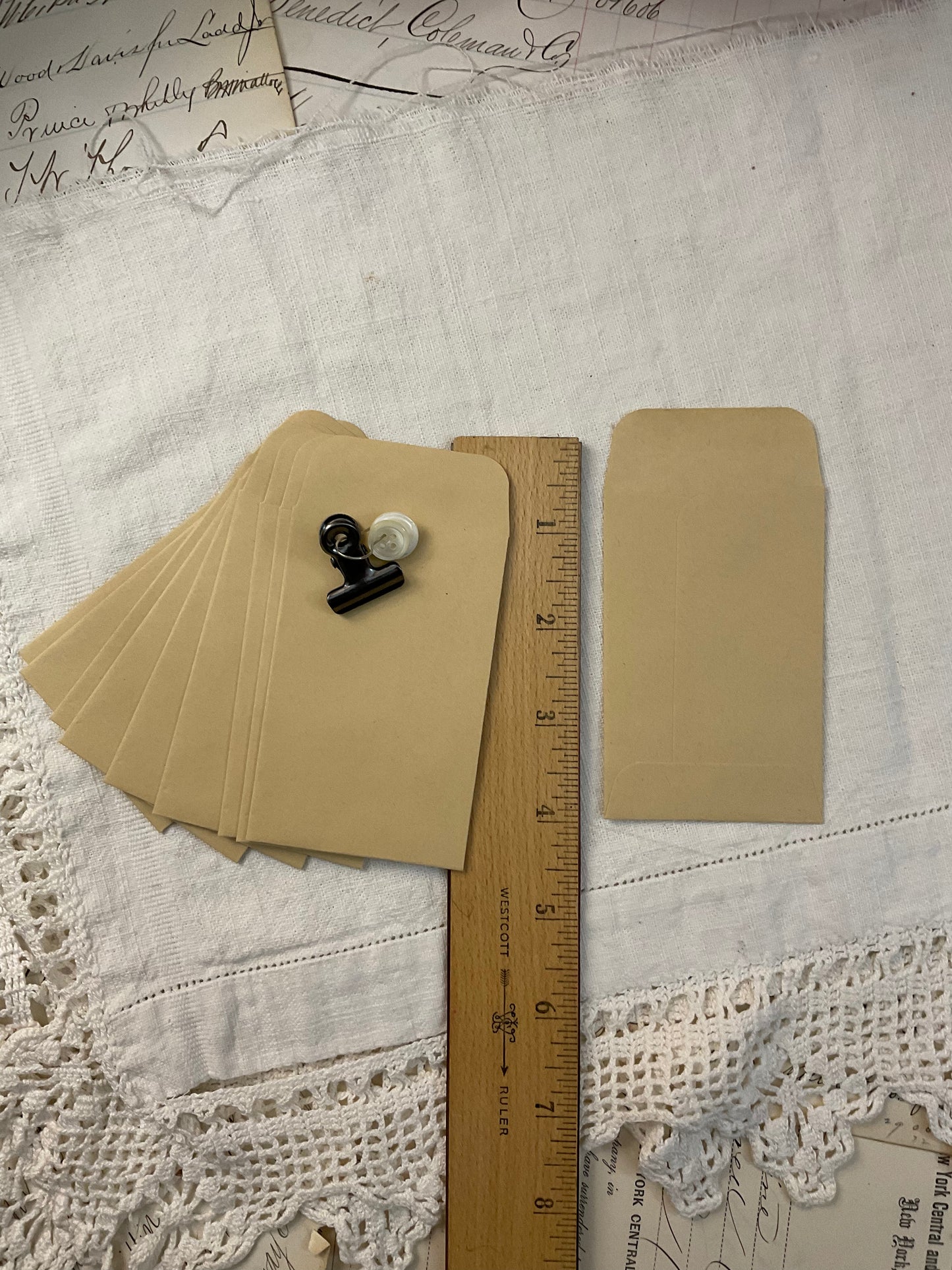 Seed Envelopes (10)