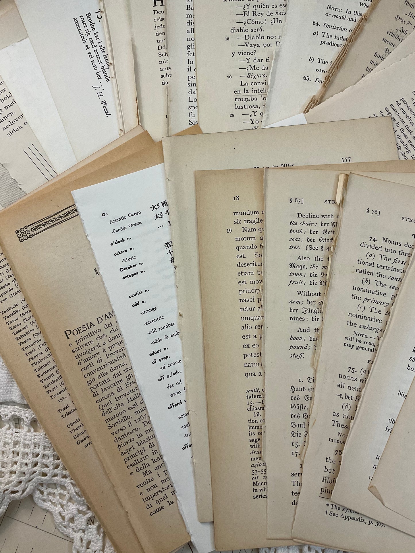 Foreign language book pages
