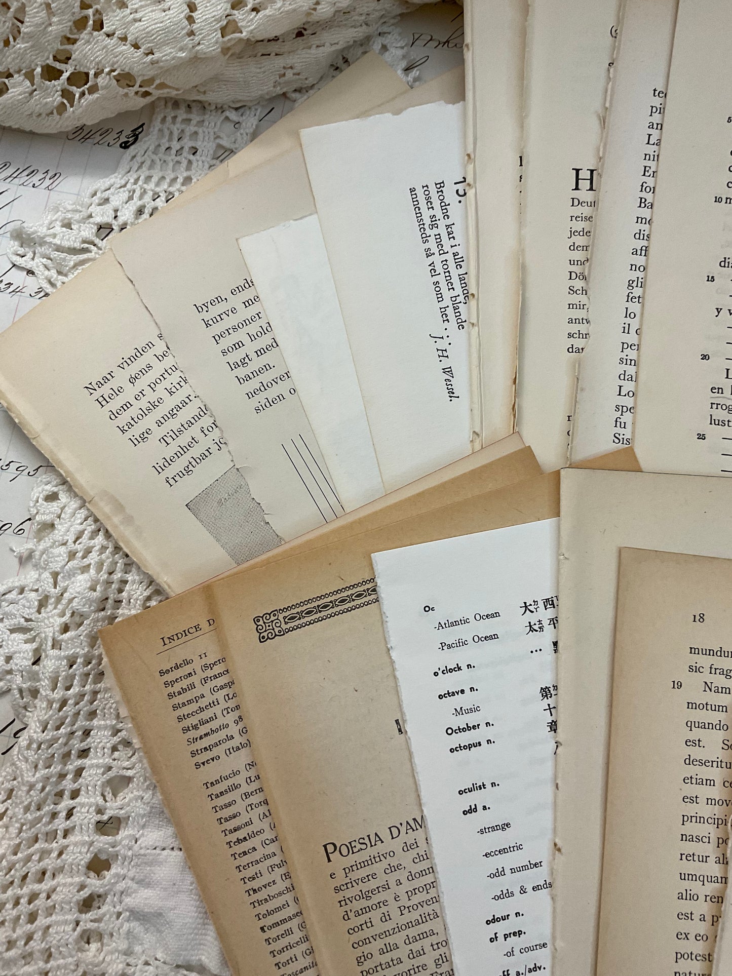 Foreign language book pages