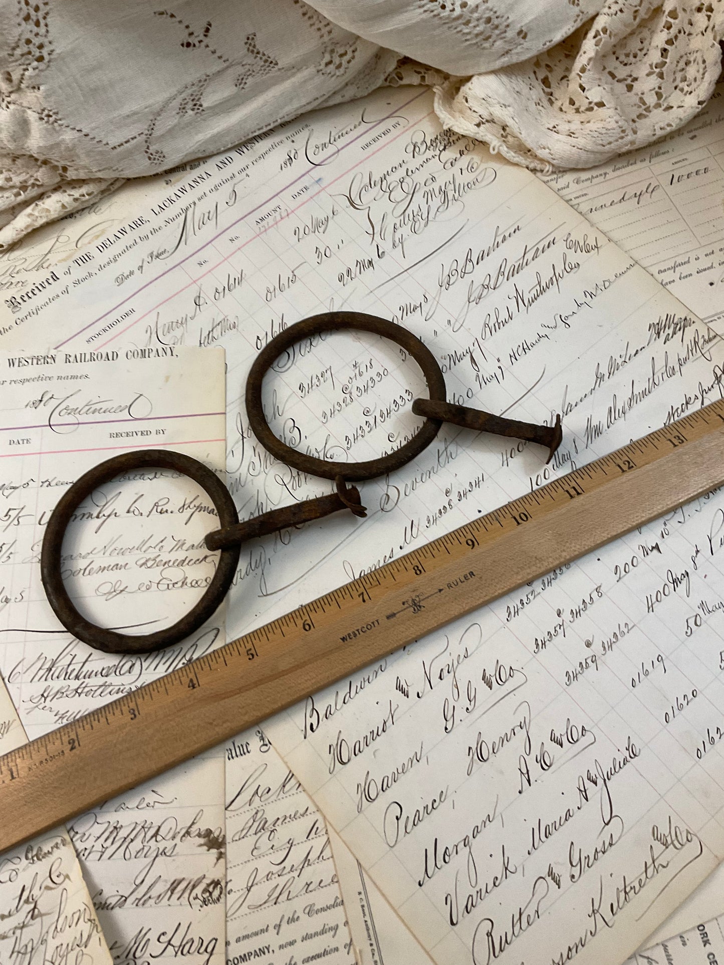 Horse Rings