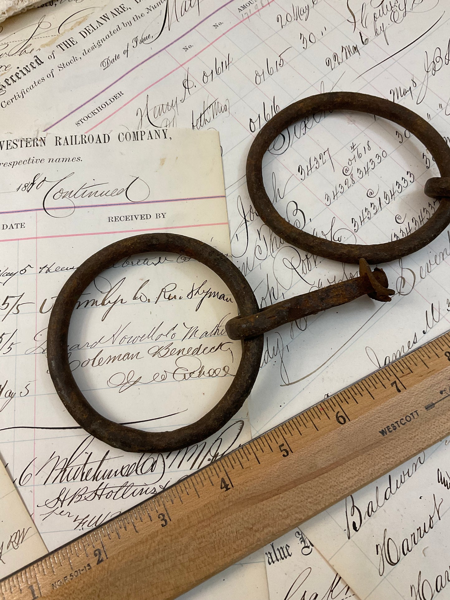 Horse Rings